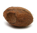 Dekoracija akvariumui - kokoso kevalas